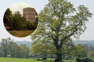 Hidden away 90 minutes from London is a tiny historic village with just 27 residents, 11 houses and a Grade I-listed Saxon church