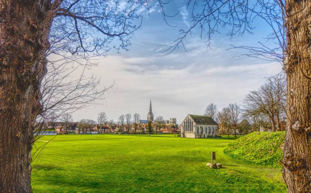A view of a cathedral from across a park