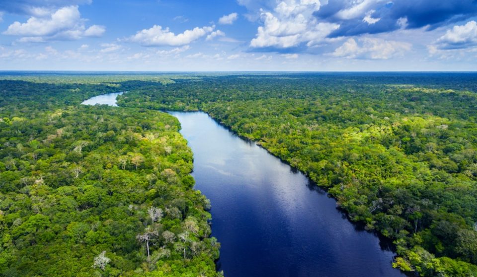 Amazon Rainforest Will Be Completely Destroyed By 2064, According To Scientist
