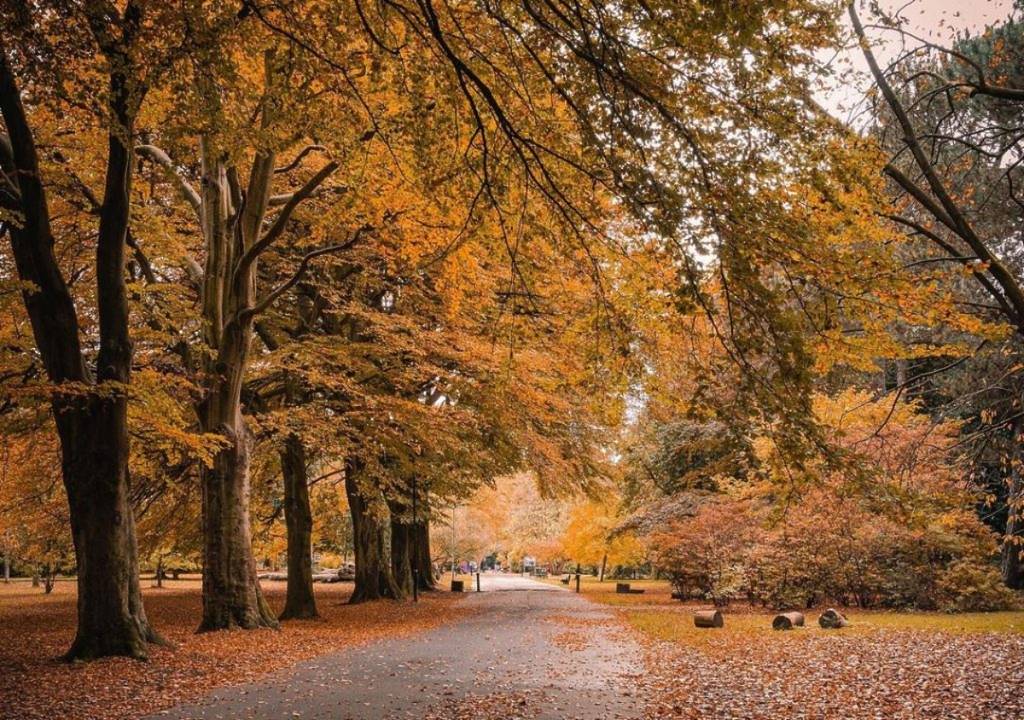 This Beautiful Ancient Park Is The Perfect Place To Go And Get Lost – And It’s Home To Liverpool’s Own Stonehenge