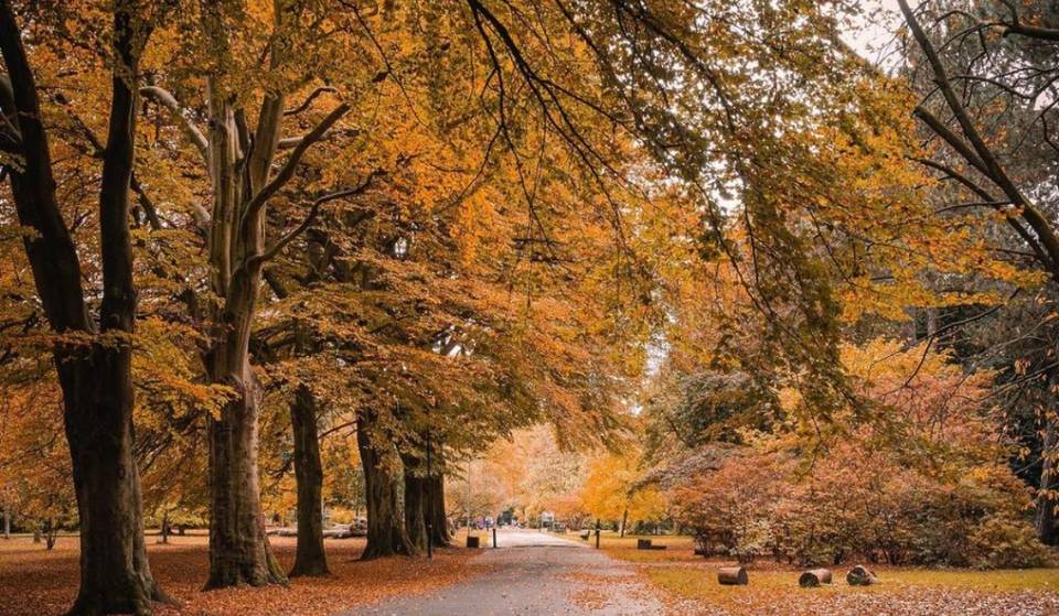 This Beautiful Ancient Park Is The Perfect Place To Go And Get Lost – And It’s Home To Liverpool’s Own Stonehenge