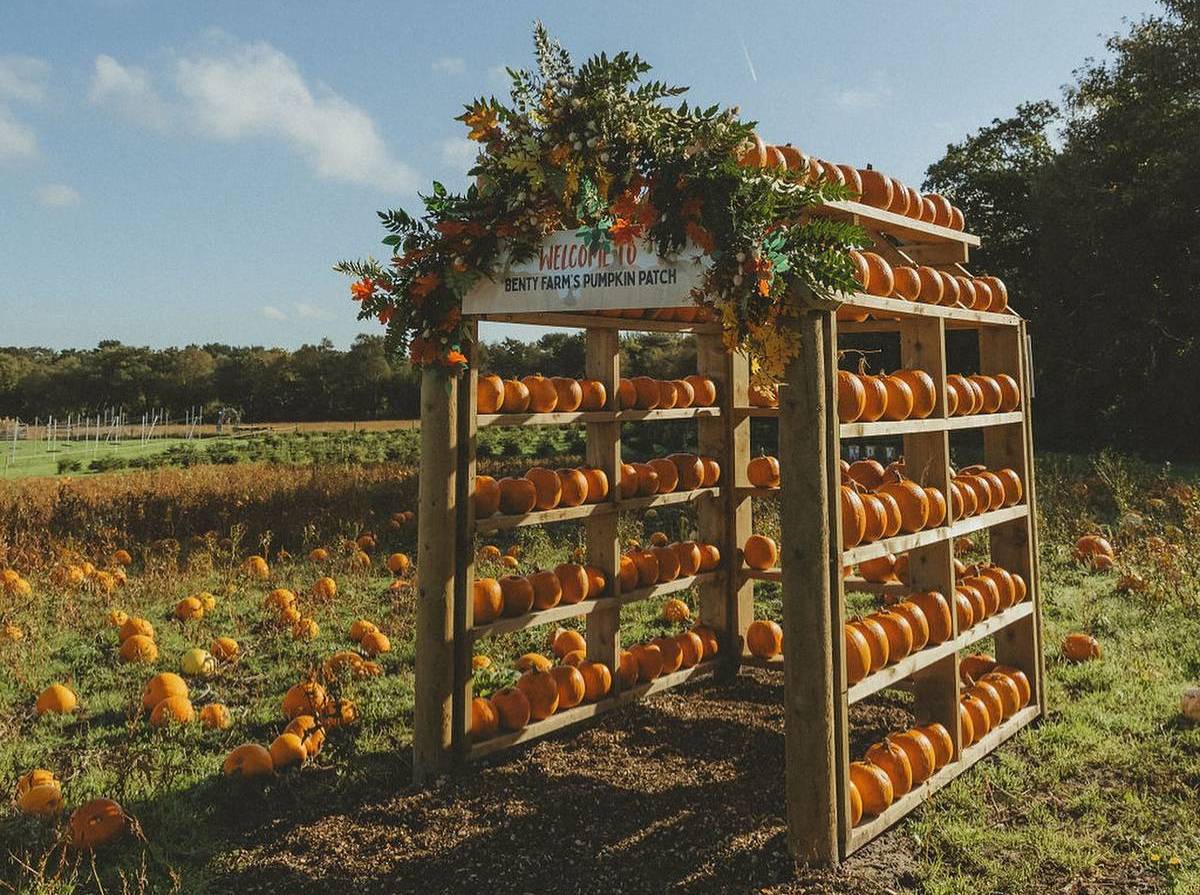 benty farm pumpkin patches