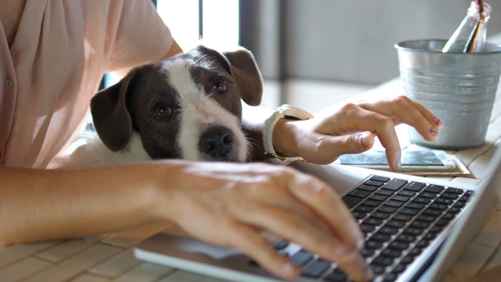 A Four-Day Working Week Trial Begins In The UK Today