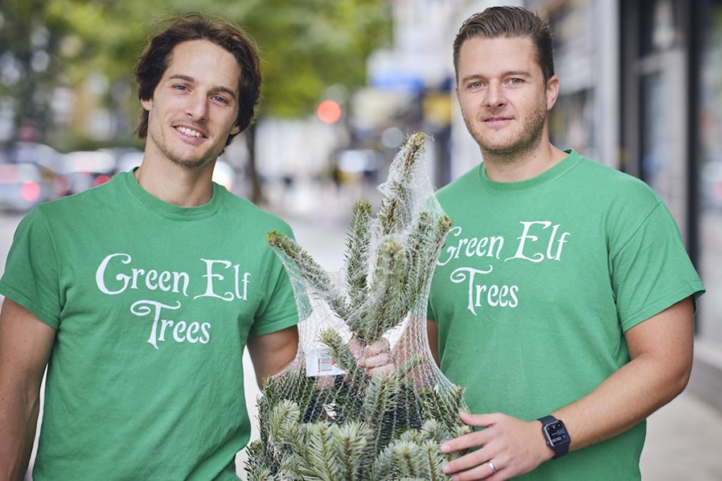 This Sustainable Christmas Tree Delivery Business Will Raise Money For A Ukrainian Refugee Charity