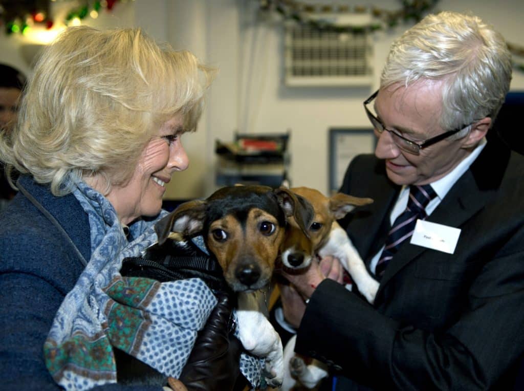 Paul O'Grady and Queen Consort Camilla stroke a dog.