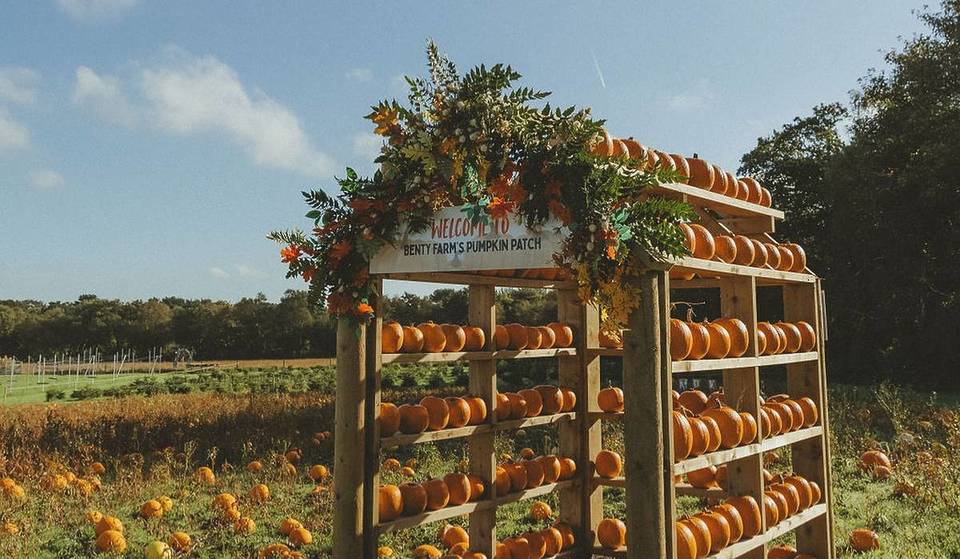 This Farm Tearoom Is Offering Pick-Your-Own Pumpkins Only Half An Hour From Liverpool This Autumn