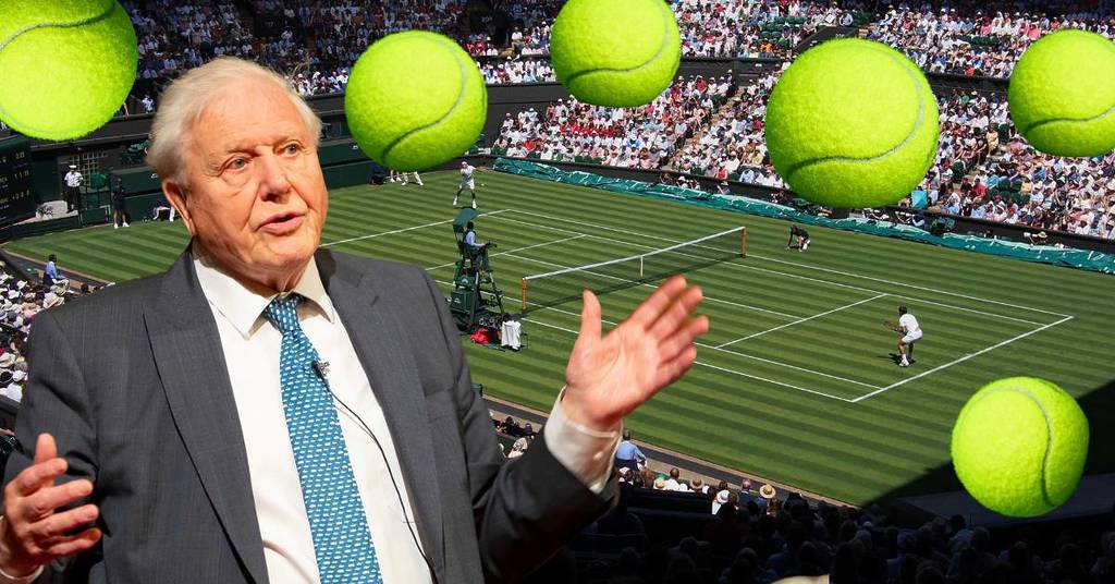 Here&#8217;s The Real Reason Why Tennis Balls Are Bright Yellow – And It&#8217;s Connected To David Attenborough