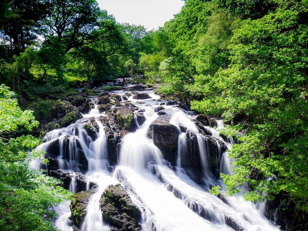 swallow falls