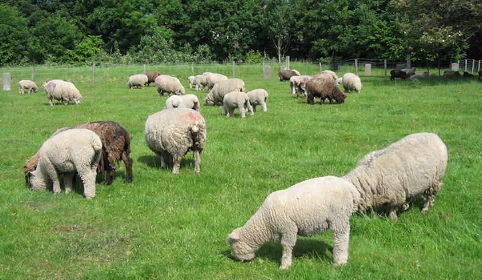 5 Fun-Filled Adventures To Discover In Liverpool That Are Perfect For The Whole Family