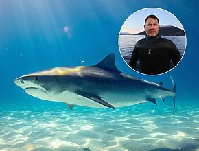 TV presenter &amp; wildlife conservationist Steve Backshall to bring new live stage show all about sharks exclusively to Chester Zoo, with real shark teeth and jaws, lifelike replicas &amp; historic footage – here’s how to get tickets