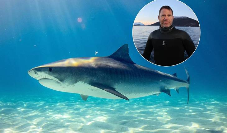 TV presenter &amp; wildlife conservationist Steve Backshall to bring new live stage show all about sharks exclusively to Chester Zoo, with real shark teeth and jaws, lifelike replicas &amp; historic footage – here’s how to get tickets