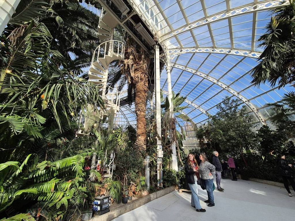Inside a large greenhouse, with spiral stairs leading above