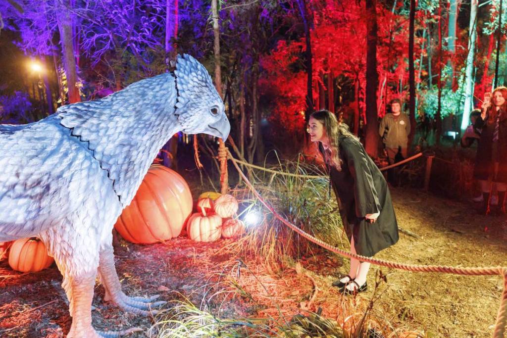 a person bowing to a hippogriff statue at Harry Potter Forbidden Forest