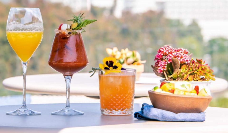 Spend Your Summer Sipping On Botanical Cocktails And Eating Fine Italian Food At This Rooftop Haven