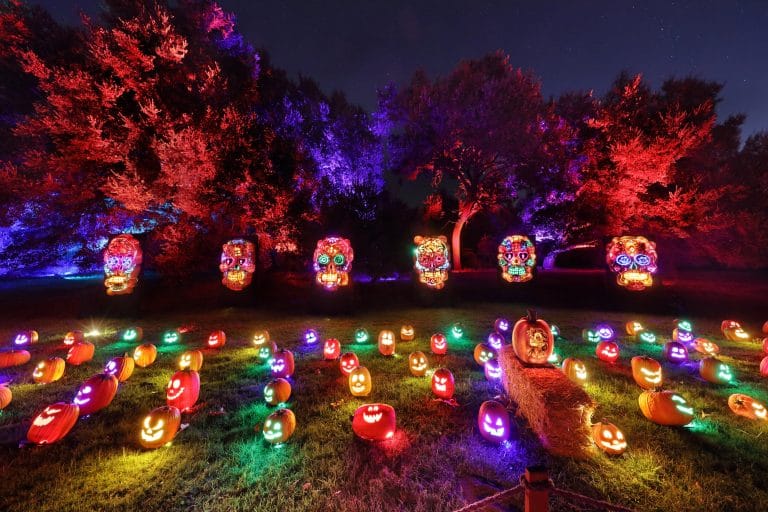 The Santa Monica Mountains Will Be Illuminated With A Jack O’Lantern DriveThru