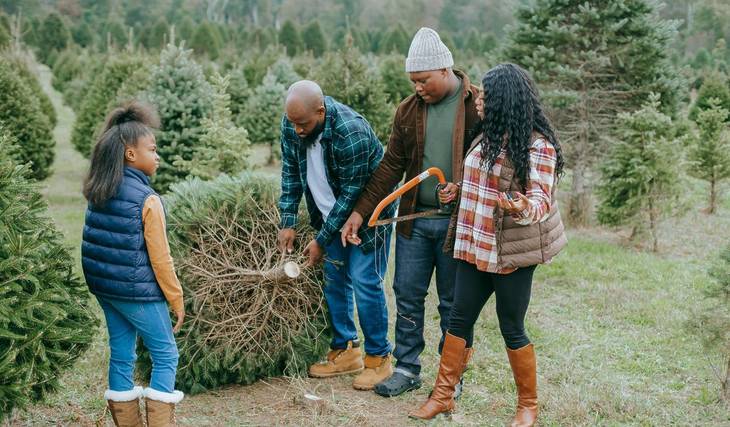 14 Enchanting Places To Get A Real Christmas Tree Around Los Angeles