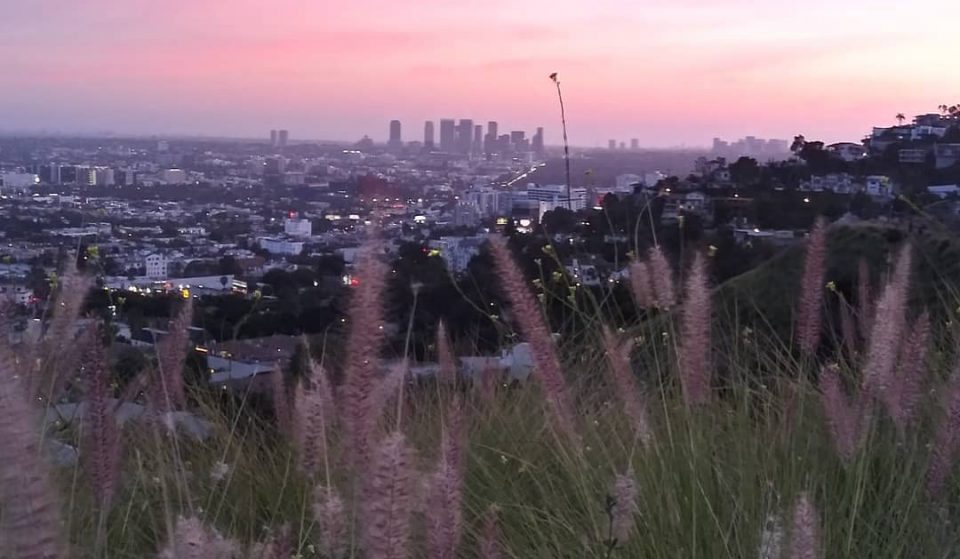 The Late Alex Trebek Donated 62 Acres Of Open Land Near Runyon Canyon