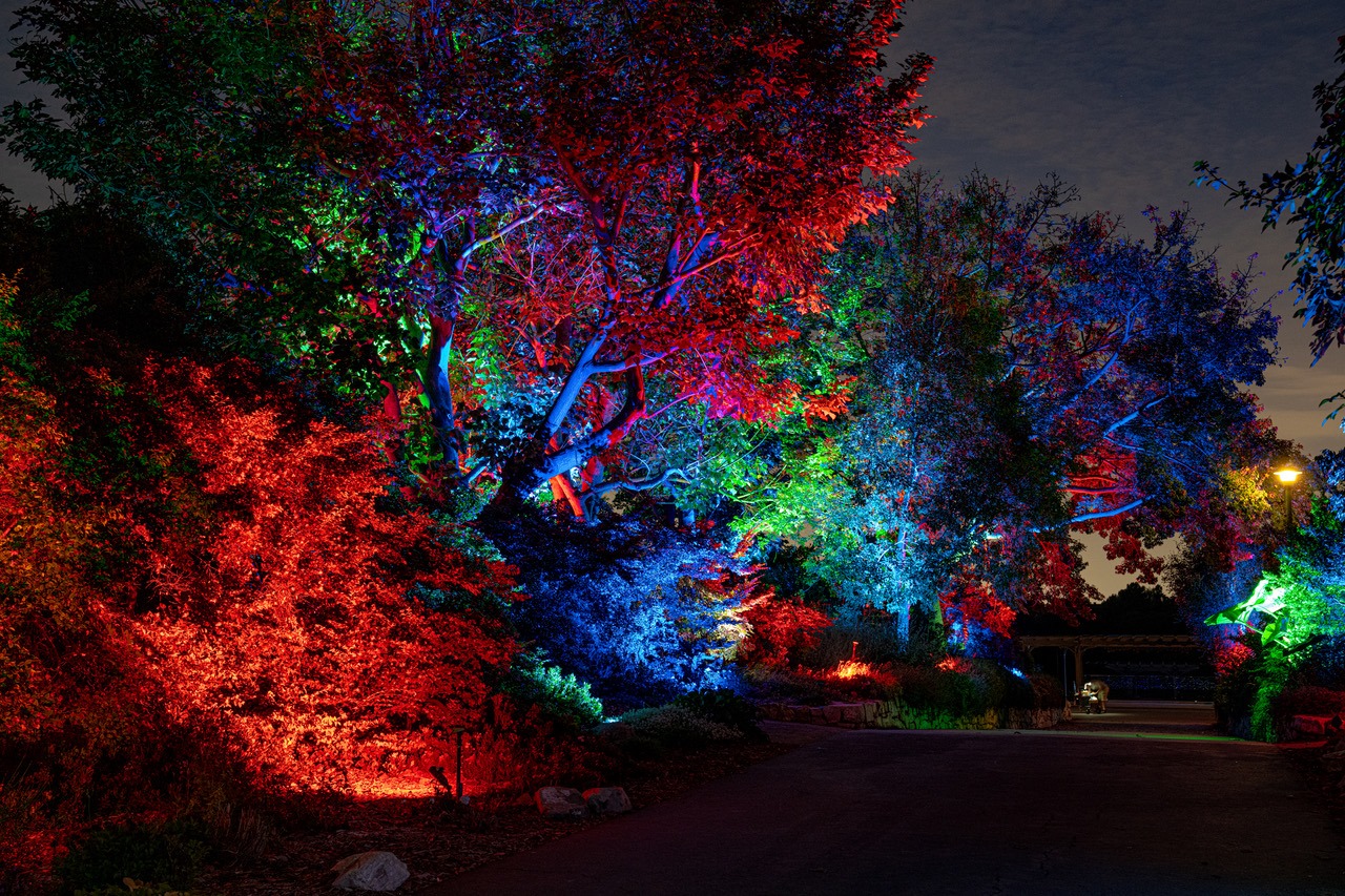 This Palos Verdes Botanic Garden Has Been Turned Into An Enchanting