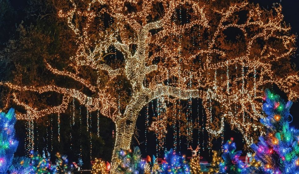 60 Magical Things To Do Before NYE In L.A.