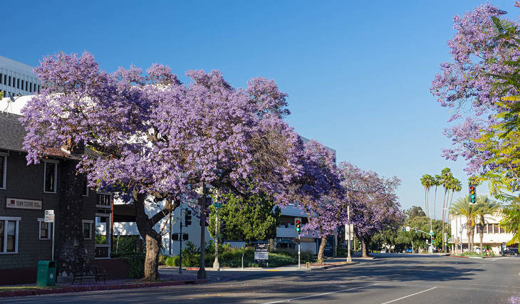 26 Marvelous Things To Do Around Los Angeles This May 2026