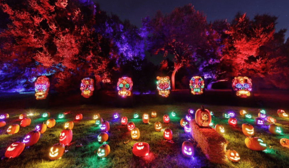 Countdown To Halloween: 13 Ways To Spend Your Halloween With Spooky Foodie