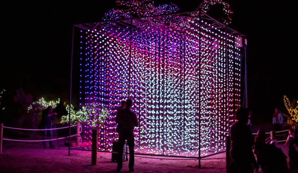 Stroll Through A Wonderland Of Luminescent Wildlife Lanterns In Palm Desert