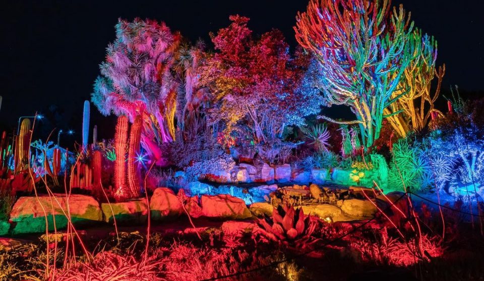 This Palos Verdes Botanic Garden Will Turn Into A Multisensory Haven For The Holiday