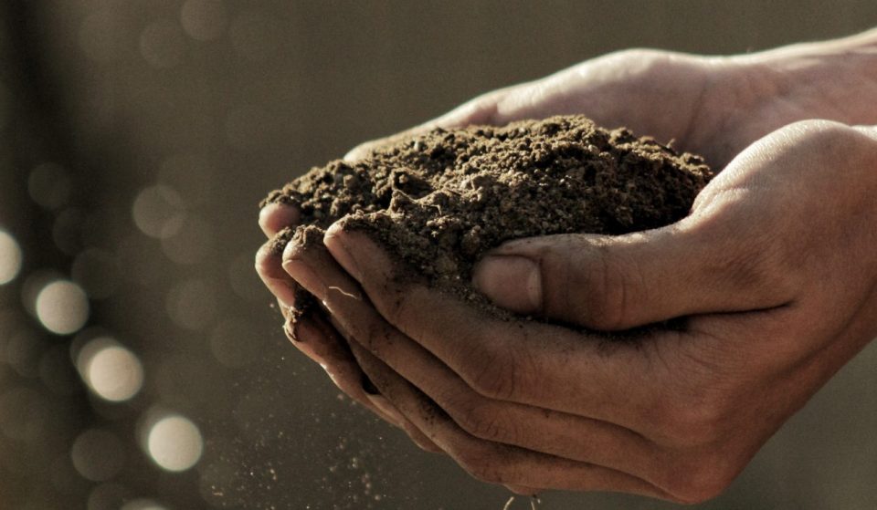 Here’s How CA’s New Mandatory Composting Law Affects You