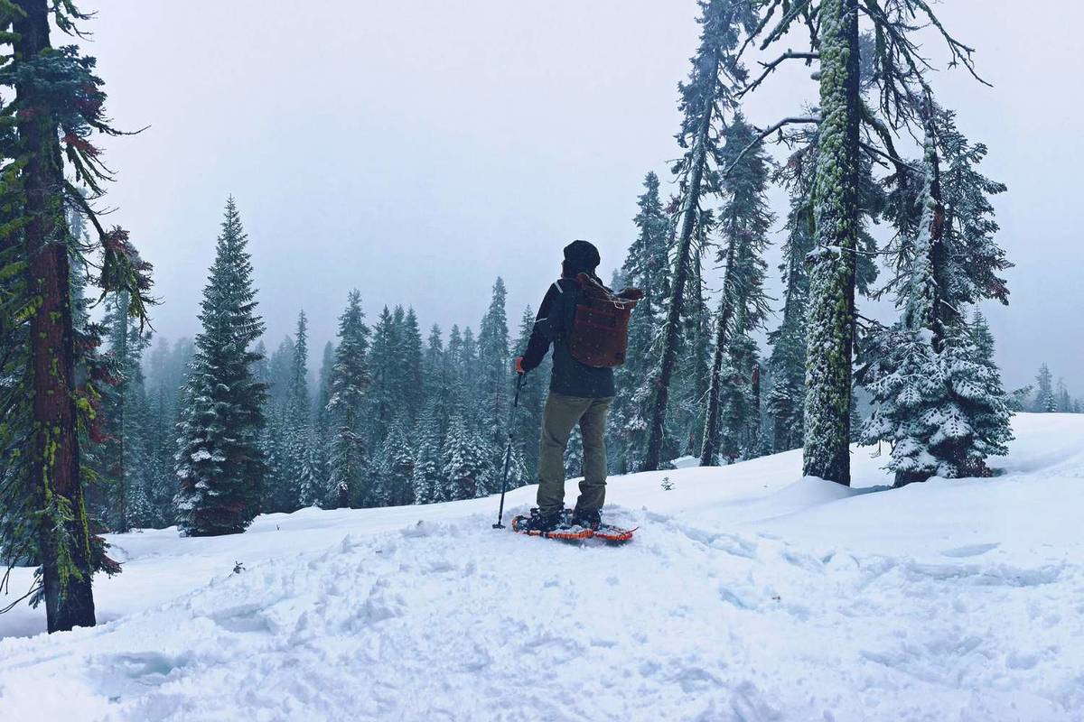 13 lugares encantadores con nieve cerca de Los Ángeles, image size:1200x800