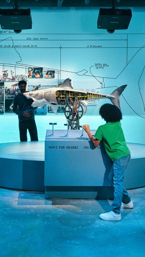Desde Studio Ghibli hasta «Tiburón»: las 17 exposiciones de museo más interesantes que visitar en Los Ángeles esta primavera