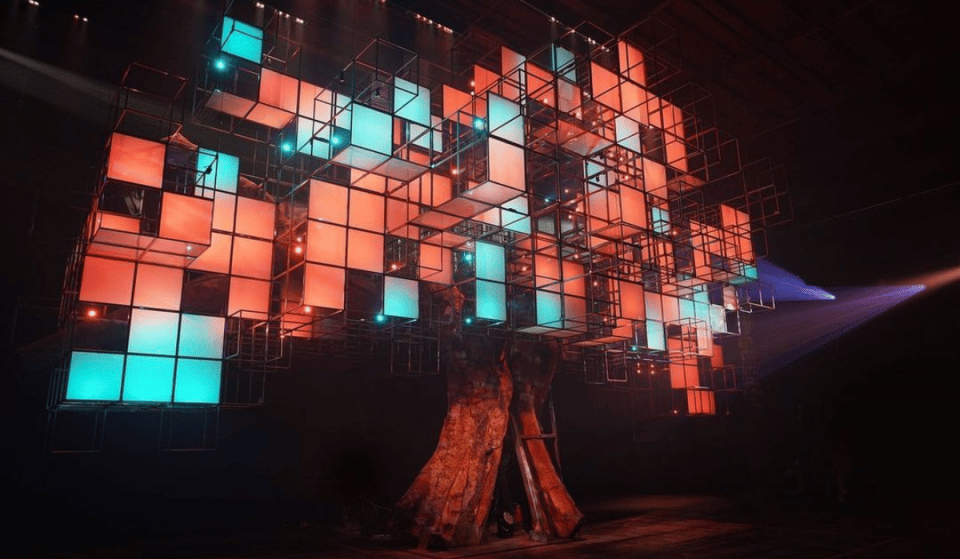 This Exhibit Transports You To A Mystical Forest, And Each Entry Plants A Tree