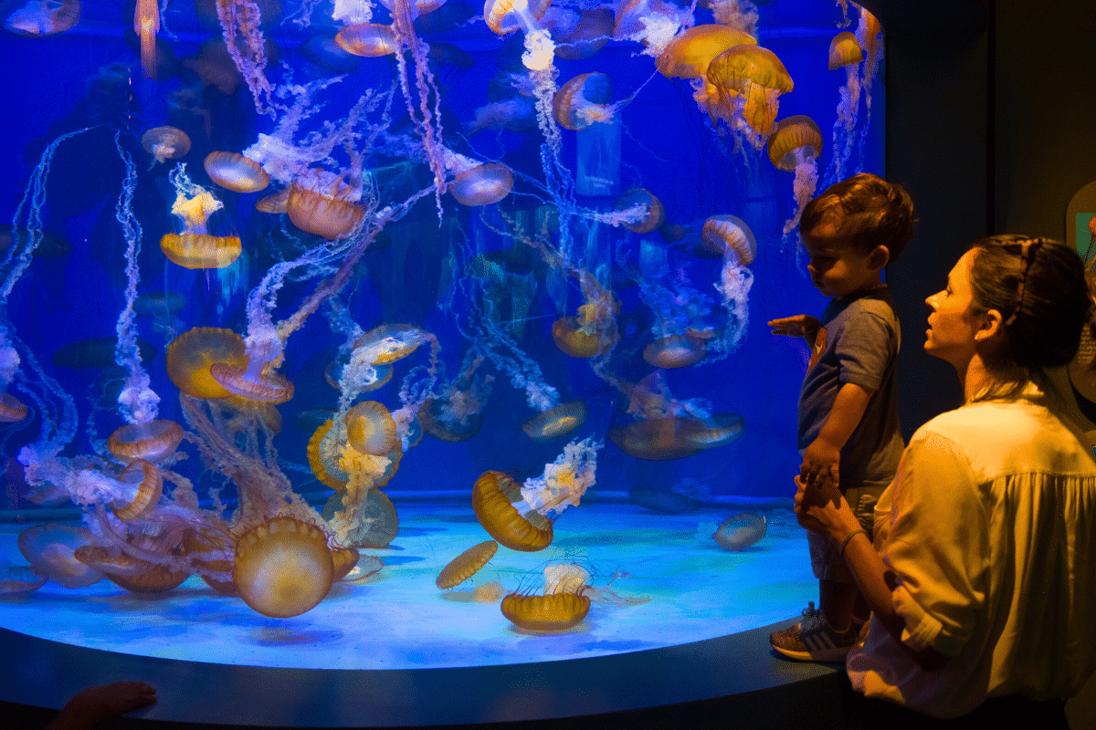 13 Best Things You Don’t Want To Miss In Los Angeles This Weekend: May 12-14
