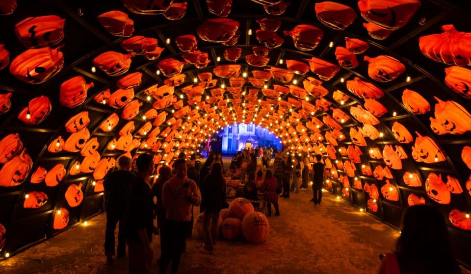 Don&#8217;t Miss Haunt O&#8217; Ween’s 150,000-Square-Foot Halloween Playground Before It Closes Next Week!