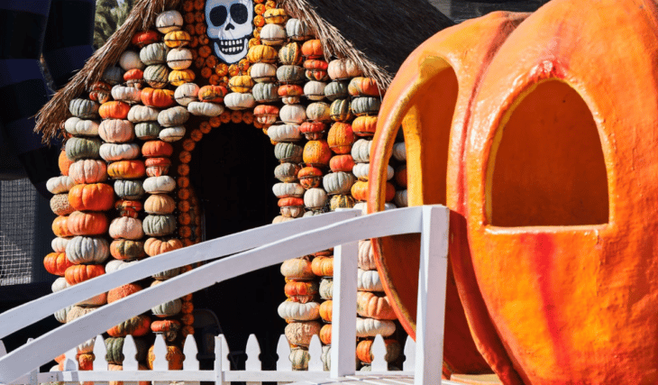 19 actividades familiares en Los Ángeles para vivir la mejor experiencia en familia