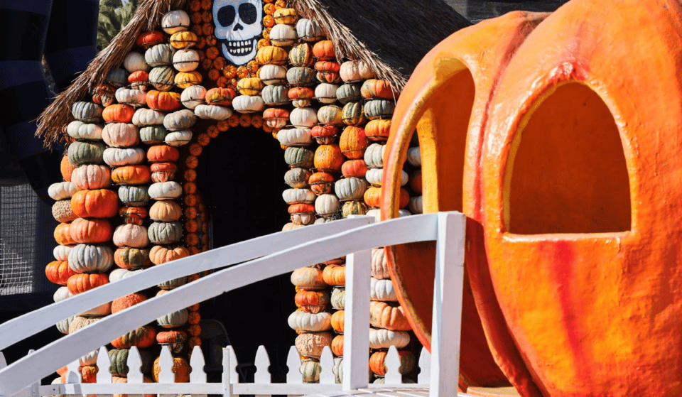 19 actividades familiares en Los Ángeles para vivir la mejor experiencia en familia