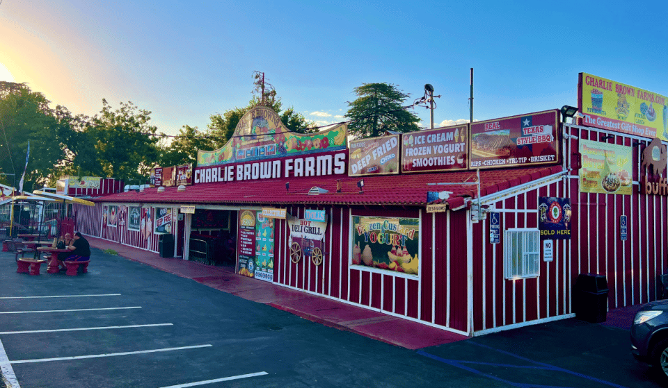 From Ostrich Burgers To Vintage Toys, This Quirky Roadside Attraction Has It All