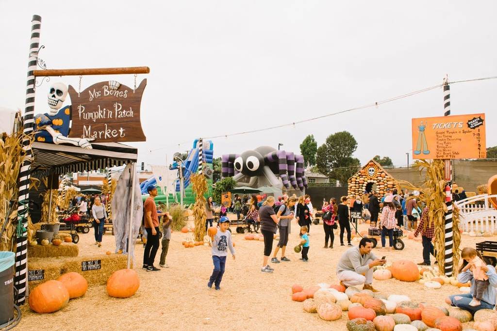 Los niños juegan en un huerto de calabazas