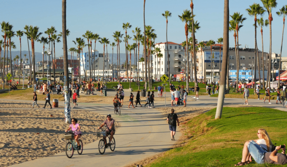 22 Ways To Annoy An L.A. Local In 5 Words Or Less