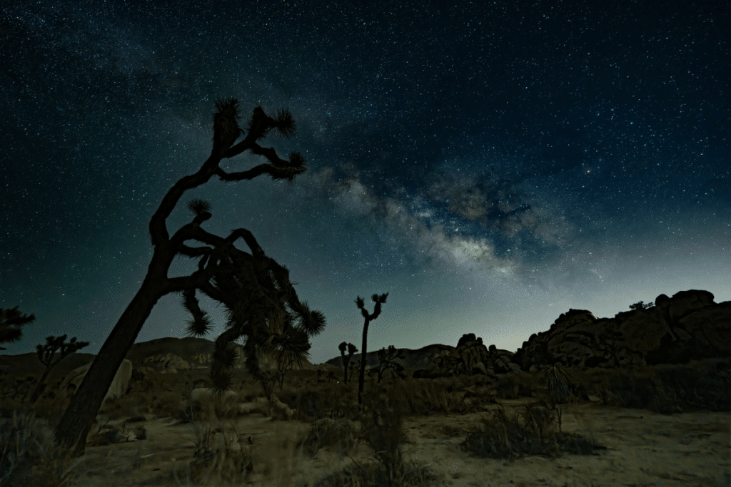 La voie lactée vue de Hidden Valley dans le parc national de Joshua Tree.