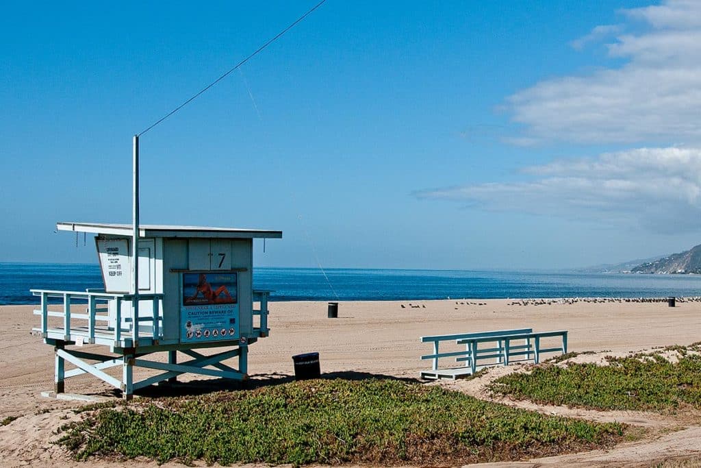Best Beaches In LA For Swimming, Sunbathing And Surfing