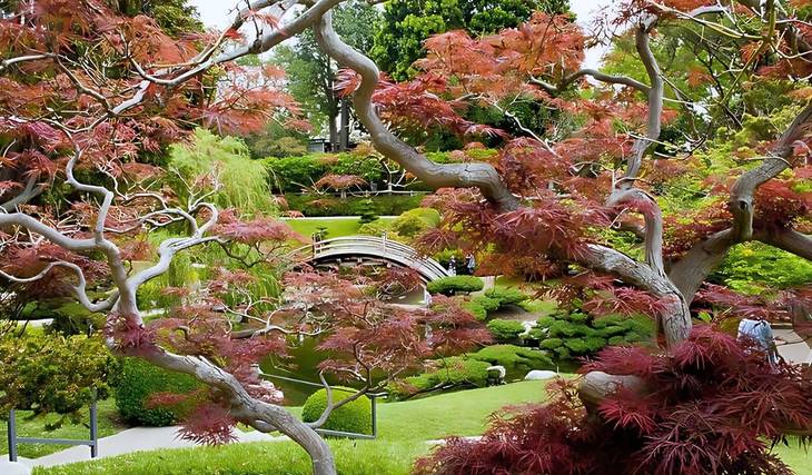 29 actividades inolvidables para tu lista de cosas que hacer en otoño en Los Ángeles