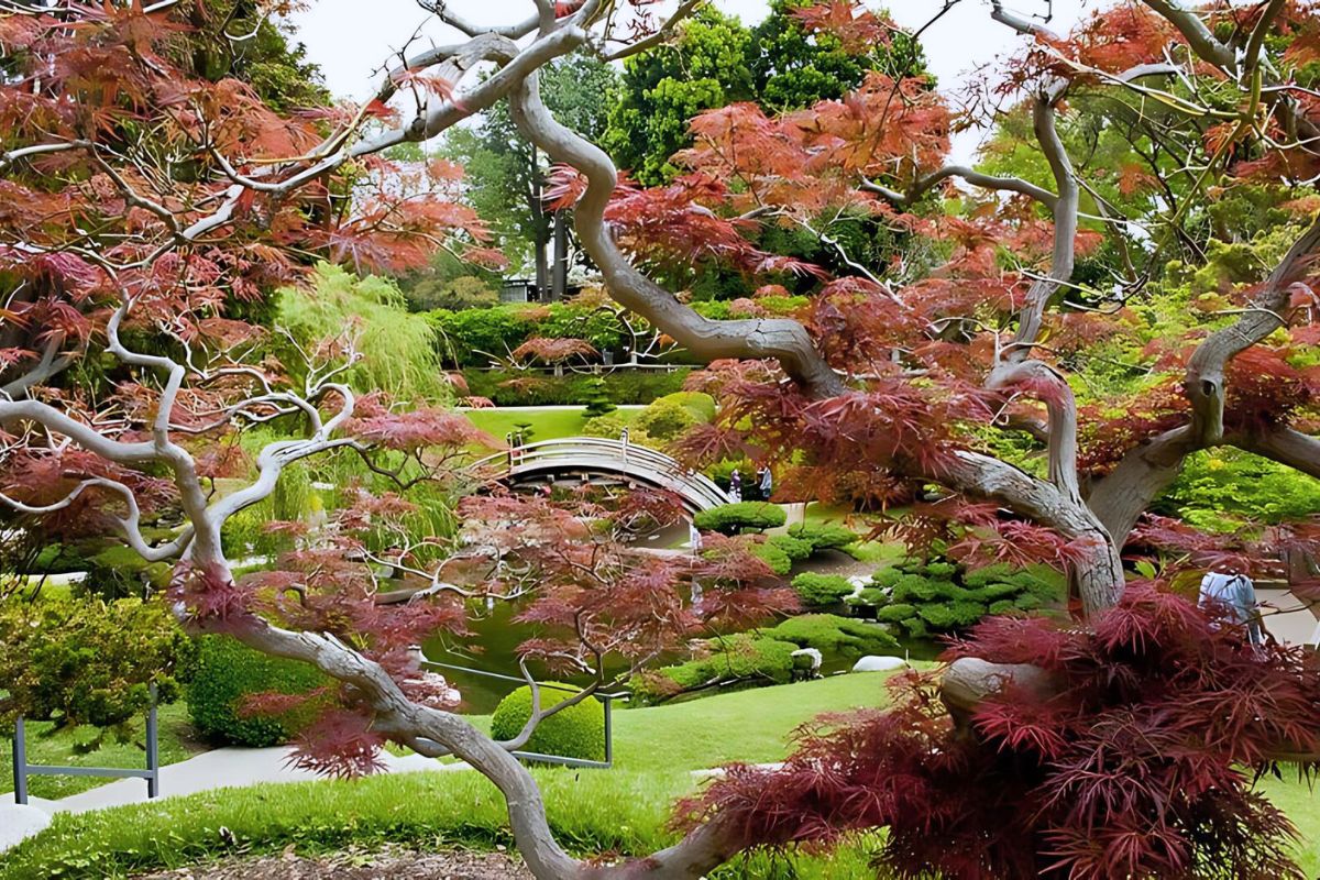 29 Unforgettable Activities For Your 2025 Fall Bucket List In Los ...