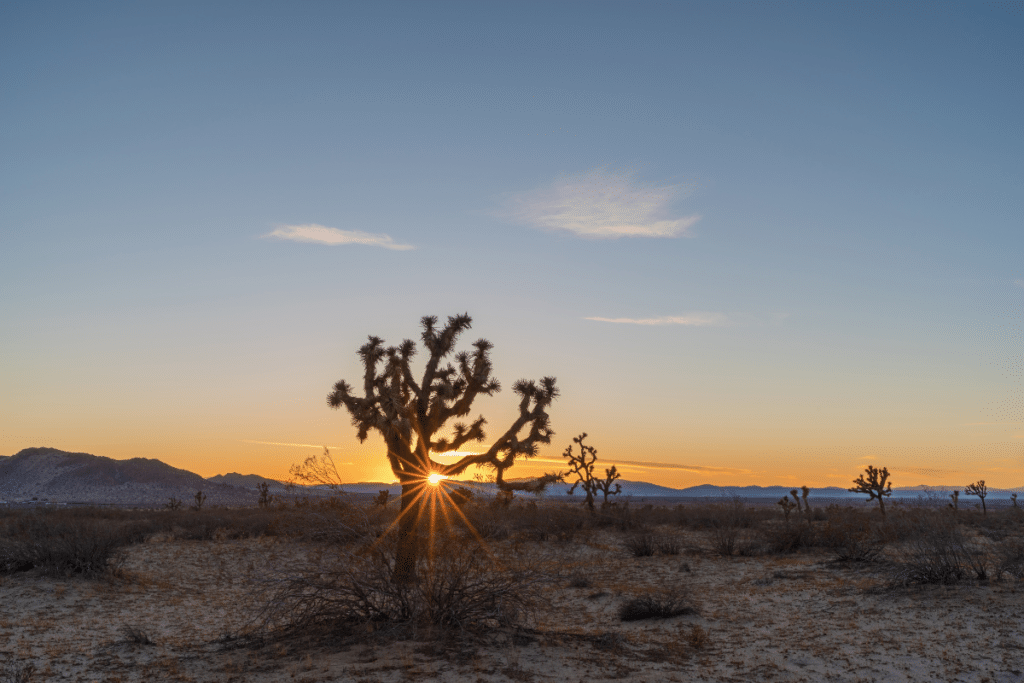 This Stunning High Desert Town Under 2 Hours From L.A. Was Just Named
