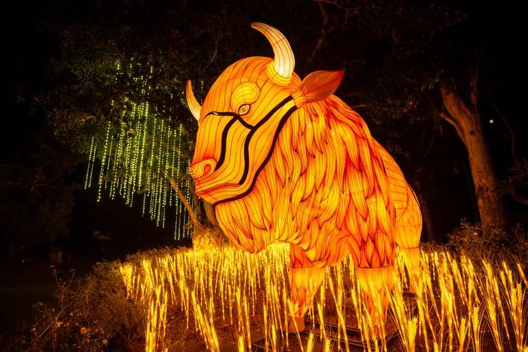 LA Zoo Lights Up With Dazzling Animal Lanterns At 'Animals Aglow'
