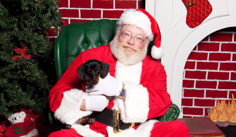 PetSmart Is Offering Free Photos For Pets With Santa Claus This Weekend