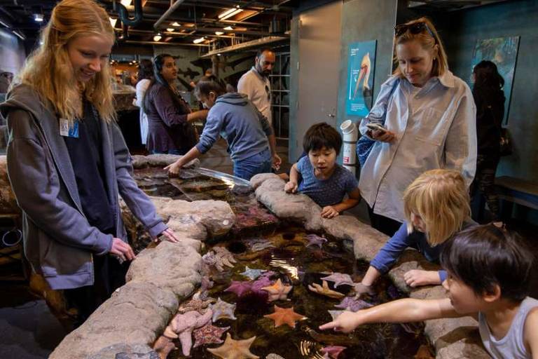 Discover the best aquariums in Los Angeles and near the city