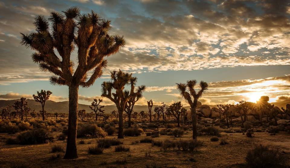 400+ National Parks Are Free To Visit On These 10 Days In 2026 – But A Major Change Means Some Will Now Have To Pay
