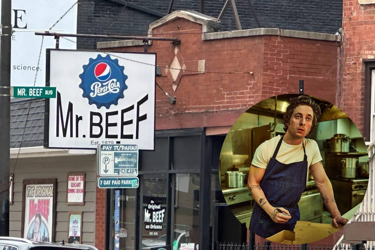 Mr.Beef The Bear
