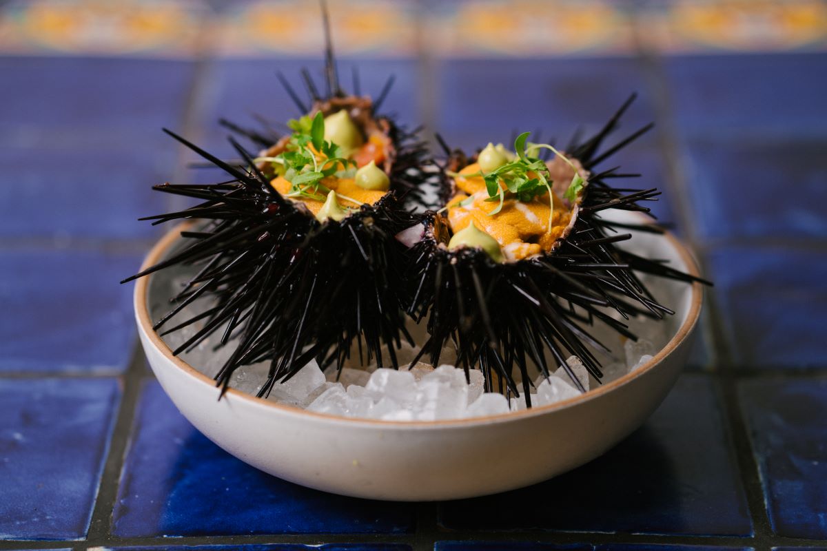 One of Holbox's Michelin-starred seafood dishes