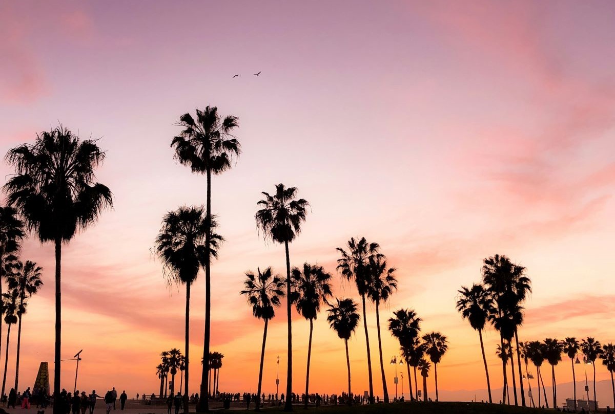 Los Angeles Is The Third Best Vegan-Friendly City In The World - News Directory 3